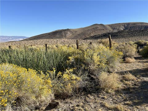 Tiny photo for 0 SAND SPRINGS Road, Dyer, NV 89010 (MLS # 2761725)