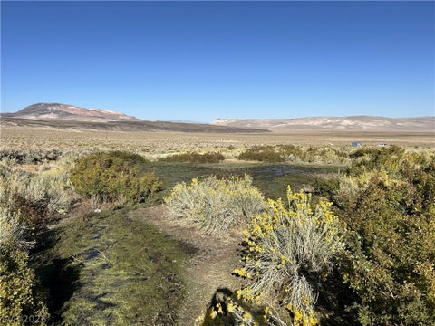 Tiny photo for 0 SAND SPRINGS Road, Dyer, NV 89010 (MLS # 2761725)