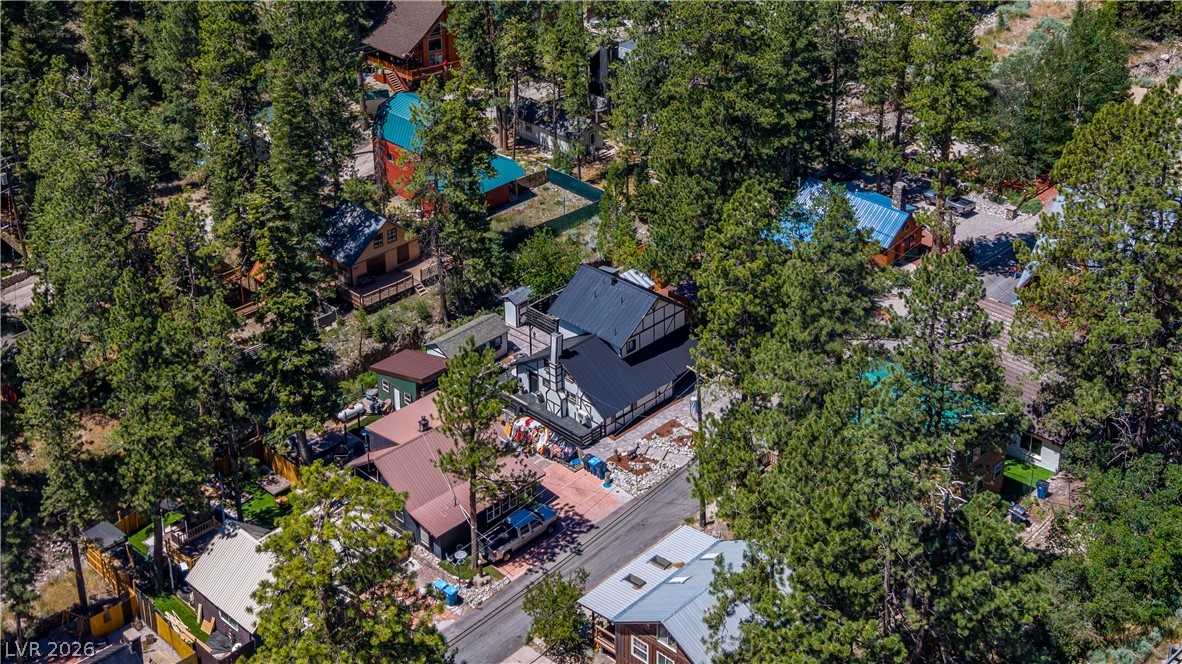 4607 Yellow Pine