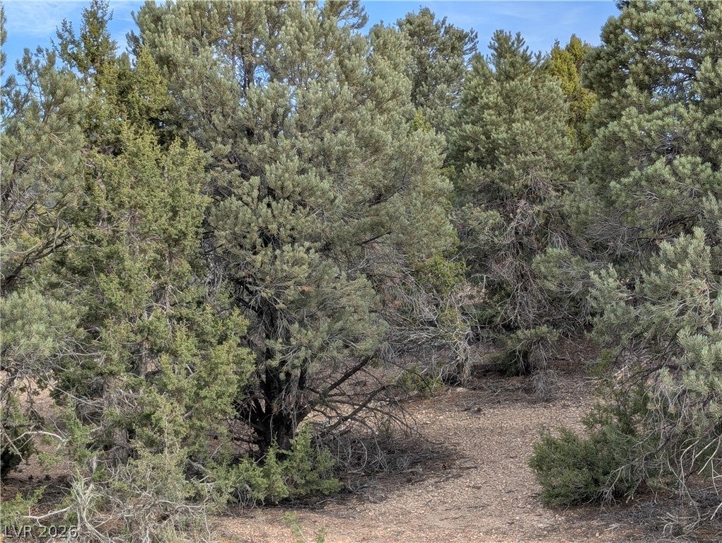 Lot 1-C Side Hill Pass