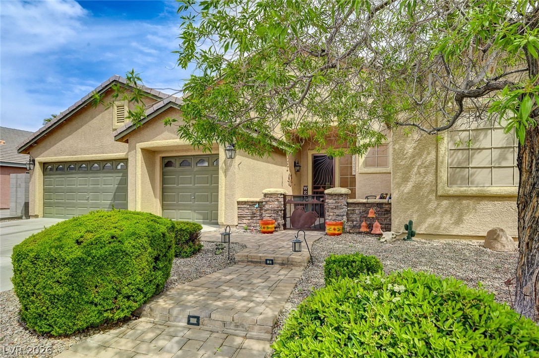7030 Painted Paradise Street