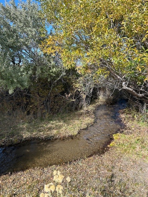 770 Davis Meadow Trail, Dyer, Nevada image 6
