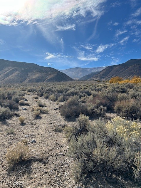 770 Davis Meadow Trail, Dyer, Nevada image 4