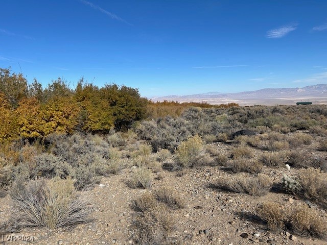 770 Davis Meadow Trail, Dyer, Nevada image 2