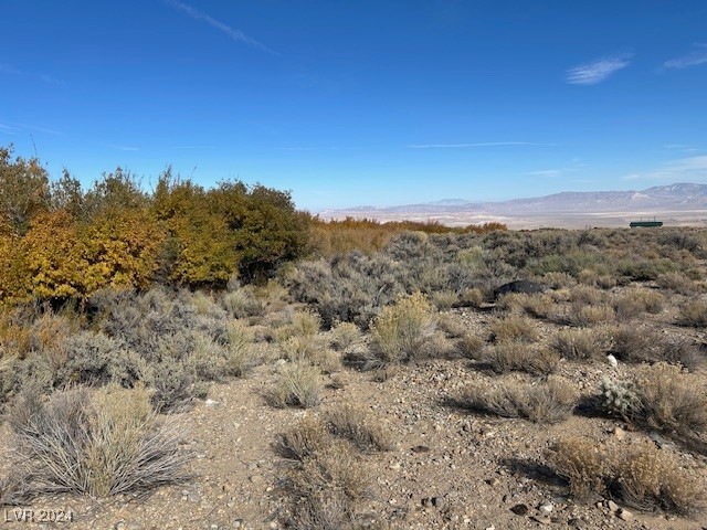 770 Davis Meadow Trail, Dyer, Nevada image 3