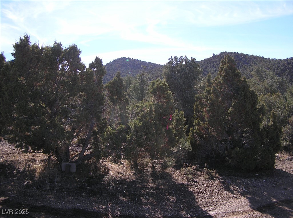 20.52 Ac Blackhorse #1 Pat.327790 Ms 3448, Ely, Nevada image 1
