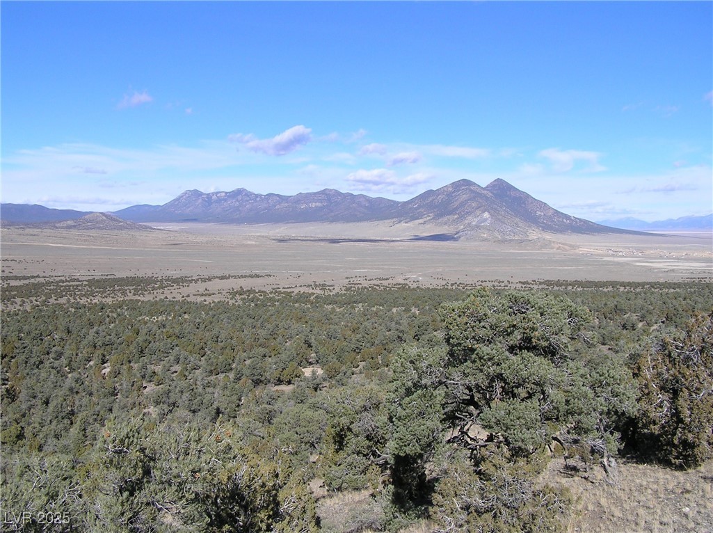 20.52 Ac Blackhorse #1 Pat.327790 Ms 3448, Ely, Nevada image 2