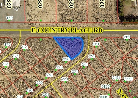 Lamar Ave, Overton, Nevada image 1