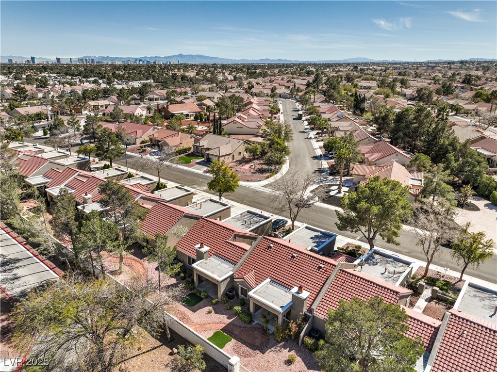 8552 Desert Holly Drive, Las Vegas, Nevada image 36