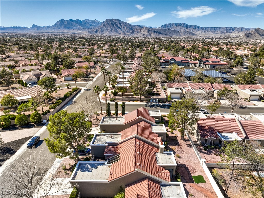 8552 Desert Holly Drive, Las Vegas, Nevada image 34