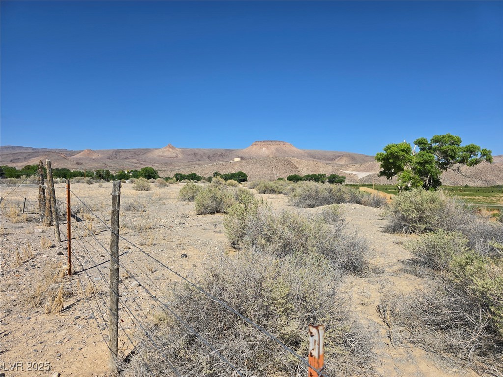 430 Paradise Road, Alamo, Nevada image 8