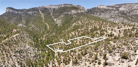 4085 Cougar Ridge Trail Mount Charleston NV 89124