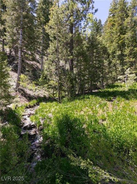 Tiny photo for 4085 Cougar Ridge Trail, Mount Charleston, NV 89124 (MLS # 2741354)