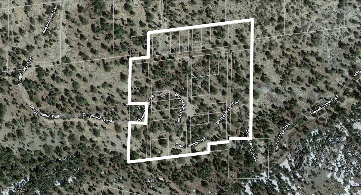 4085 Cougar Ridge Trail