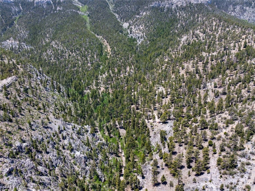 4085 Cougar Ridge Trail
