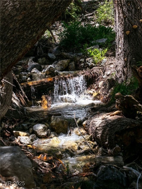 Tiny photo for 4085 Cougar Ridge Trail, Mount Charleston, NV 89124 (MLS # 2741354)
