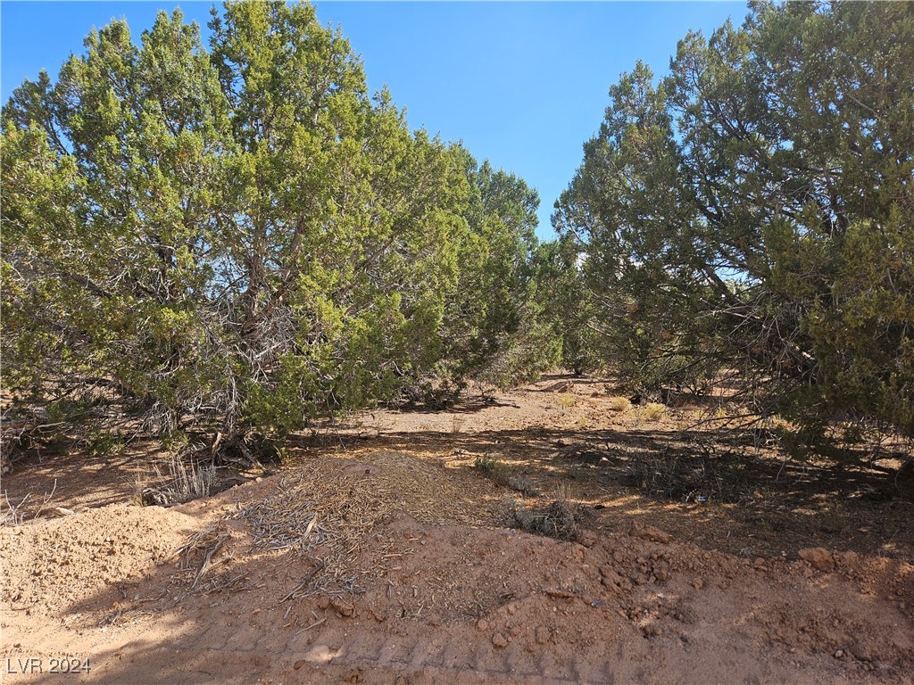 17964 W Granite Lane #LOT 7, Cedar City, Utah image 17