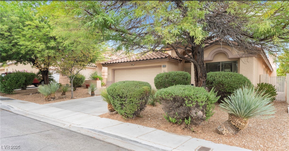 10432 American Falls Lane