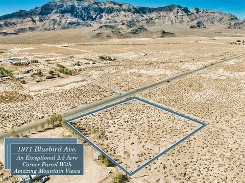 1971 W Bluebird Avenue Pahrump NV 89060