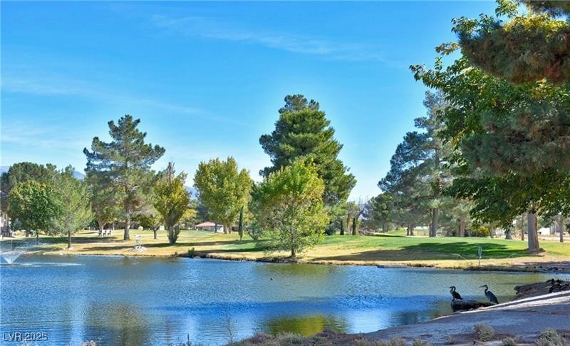 1461 Eldorado Way, Pahrump, Nevada image 2