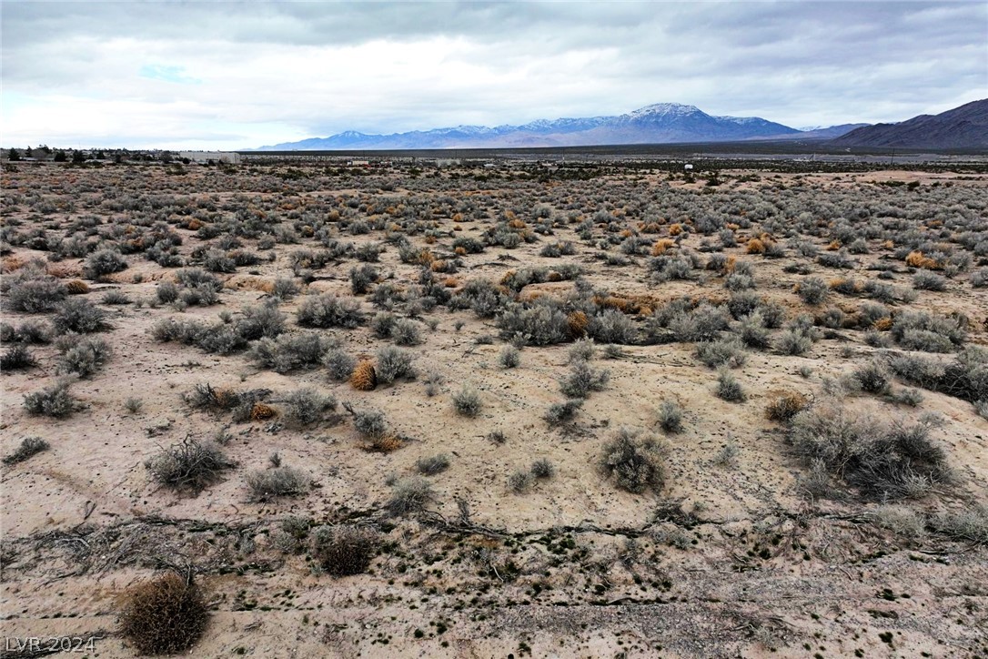 2431 E Deerskin Street, Tonopah, Nevada image 2