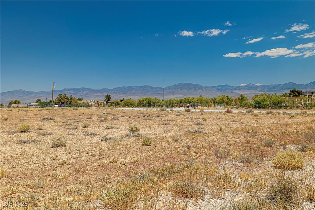 1690 W Gray Fox Way, Pahrump, Nevada image 5