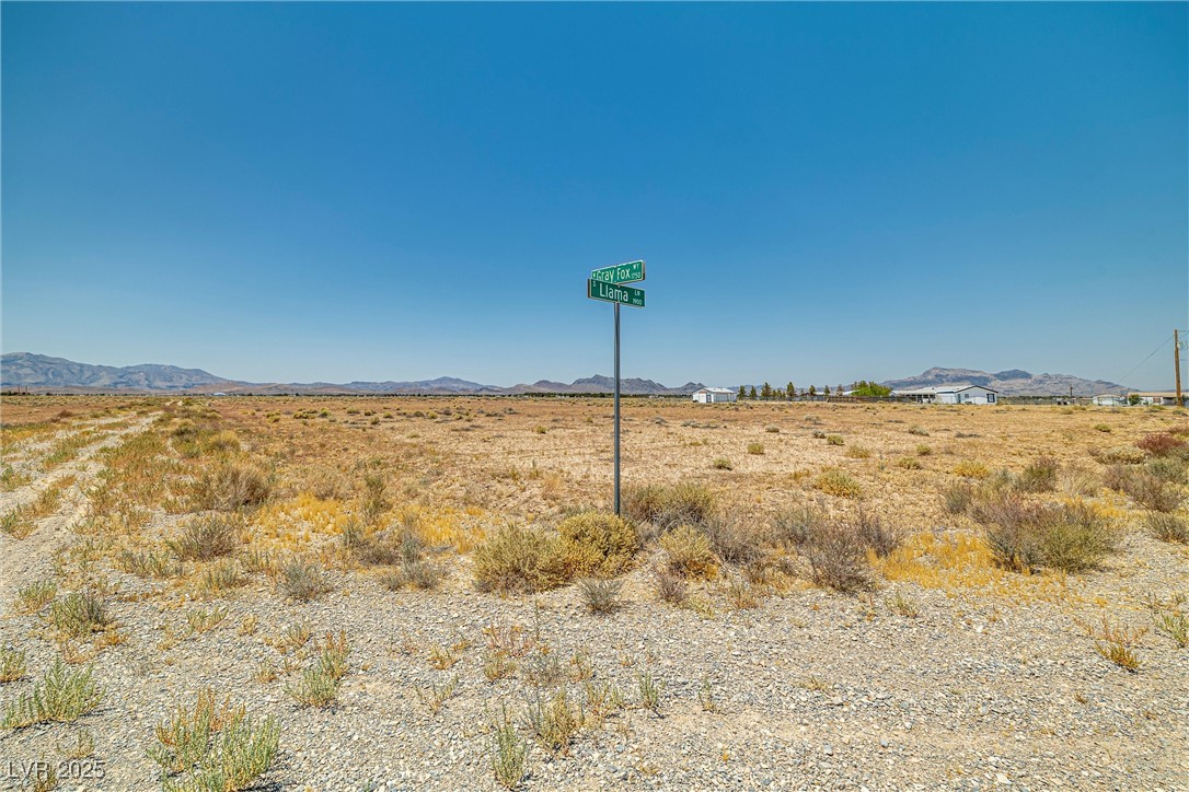 1690 W Gray Fox Way, Pahrump, Nevada image 8