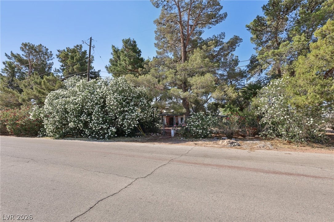 55 Siddall Avenue