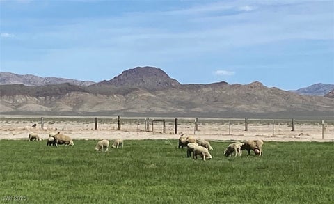Tiny photo for 1314 Fire Station Road, Ely, NV 89301 (MLS # 2703817)
