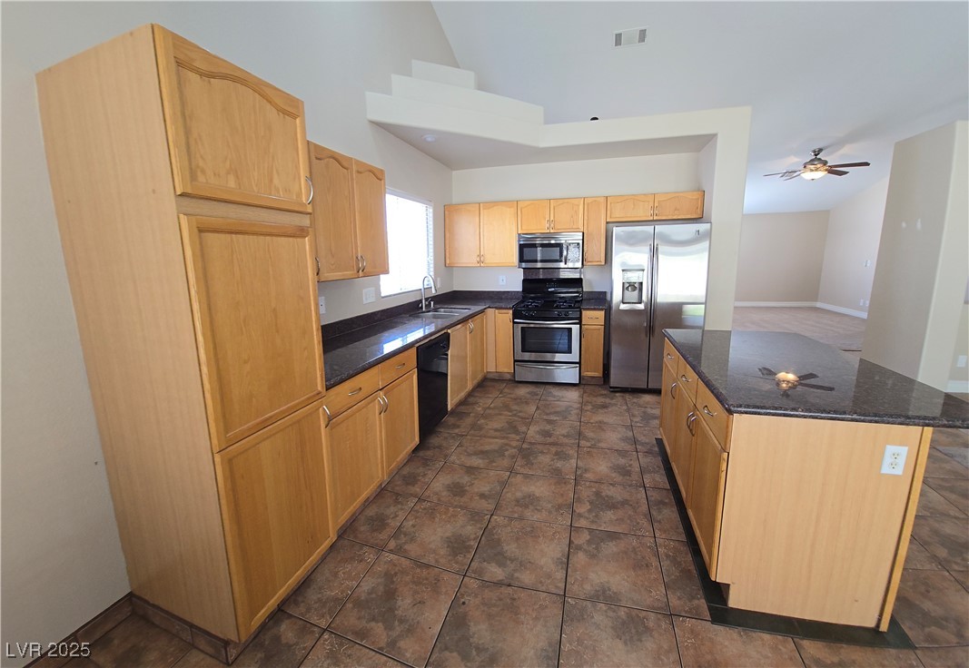 7417 Red Eagle Street, Las Vegas, Texas image 24