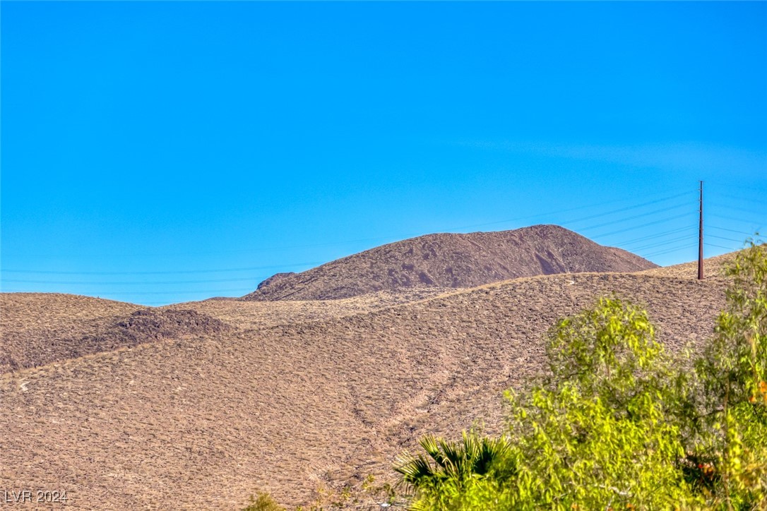 2288 Otter Rock Avenue, Henderson, Nevada image 36