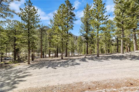 Tiny photo for Lee Canyon Road, Mount Charleston, NV 89124 (MLS # 2587083)