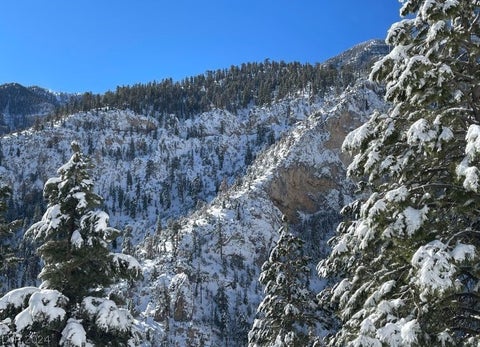 Tiny photo for Lee Canyon Road, Mount Charleston, NV 89124 (MLS # 2587083)