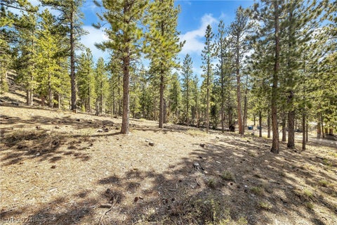 Tiny photo for Lee Canyon Road, Mount Charleston, NV 89124 (MLS # 2587083)