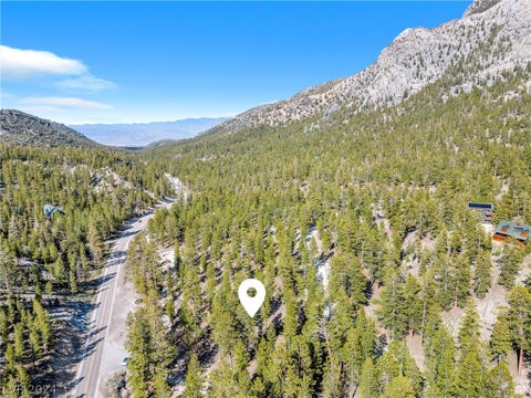 Tiny photo for Lee Canyon Road, Mount Charleston, NV 89124 (MLS # 2587083)