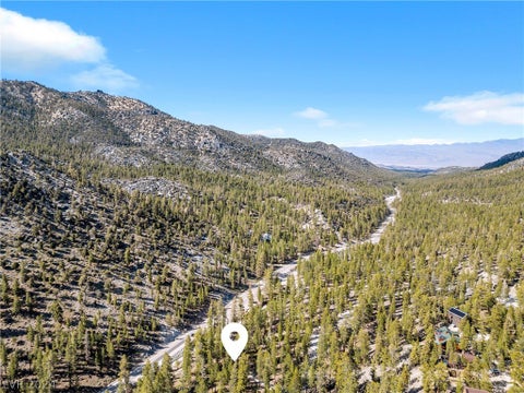Tiny photo for Lee Canyon Road, Mount Charleston, NV 89124 (MLS # 2587083)