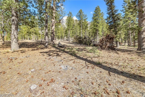 Tiny photo for Lee Canyon Road, Mount Charleston, NV 89124 (MLS # 2587083)