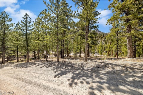 Tiny photo for Lee Canyon Road, Mount Charleston, NV 89124 (MLS # 2587083)