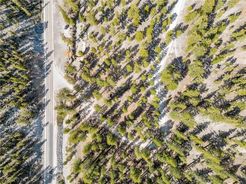 Tiny photo for Lee Canyon Road, Mount Charleston, NV 89124 (MLS # 2587083)