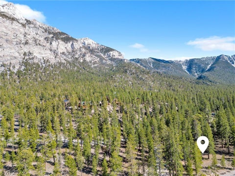 Tiny photo for Lee Canyon Road, Mount Charleston, NV 89124 (MLS # 2587083)