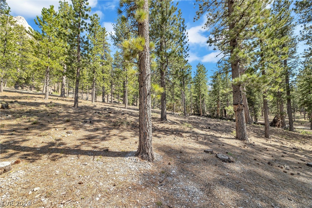 Lee Canyon Road