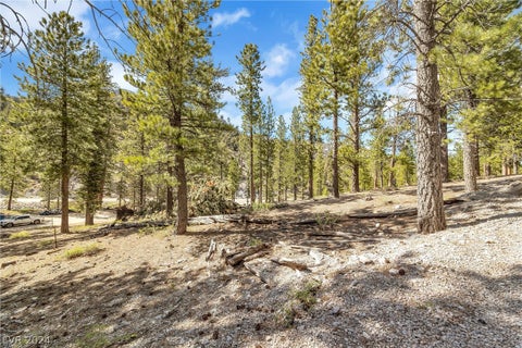 Tiny photo for Lee Canyon Road, Mount Charleston, NV 89124 (MLS # 2587083)