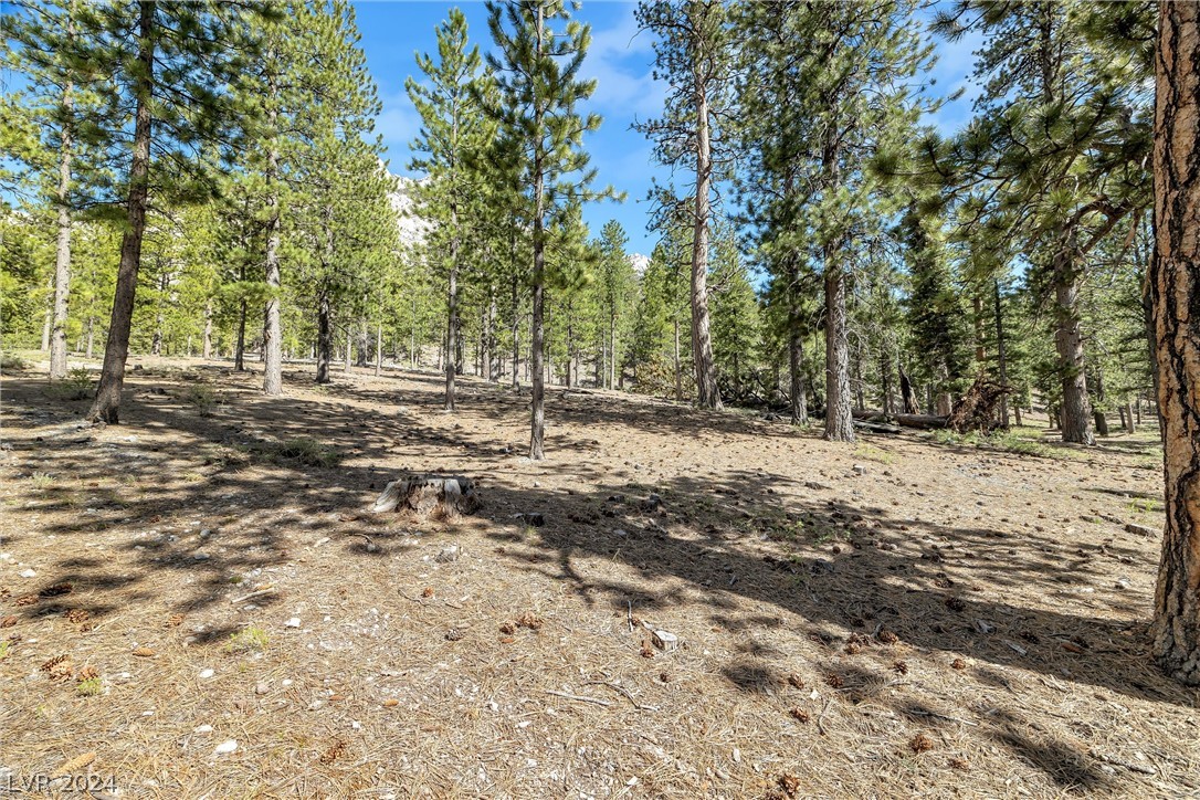 Lee Canyon Road