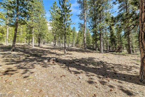 Tiny photo for Lee Canyon Road, Mount Charleston, NV 89124 (MLS # 2587083)