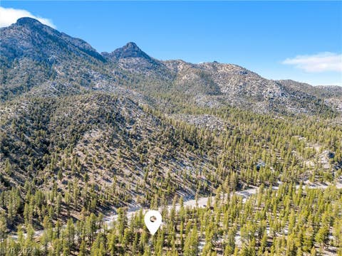 Tiny photo for Lee Canyon Road, Mount Charleston, NV 89124 (MLS # 2587083)
