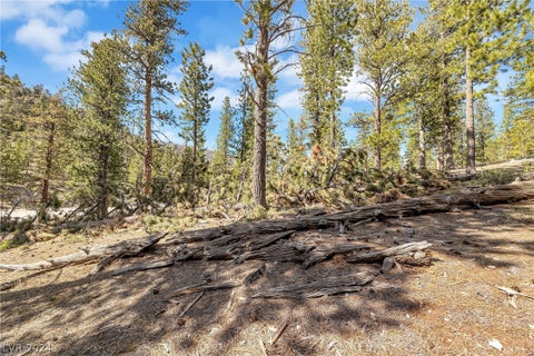 Tiny photo for Lee Canyon Road, Mount Charleston, NV 89124 (MLS # 2587083)
