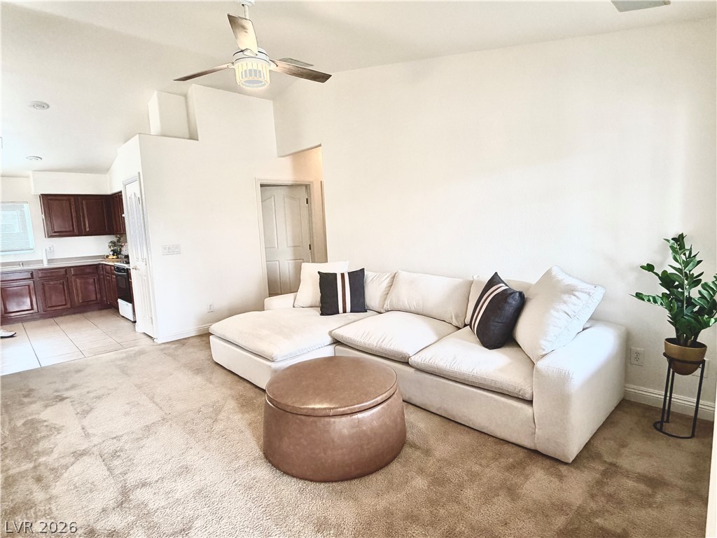 8571 Little Fox Street