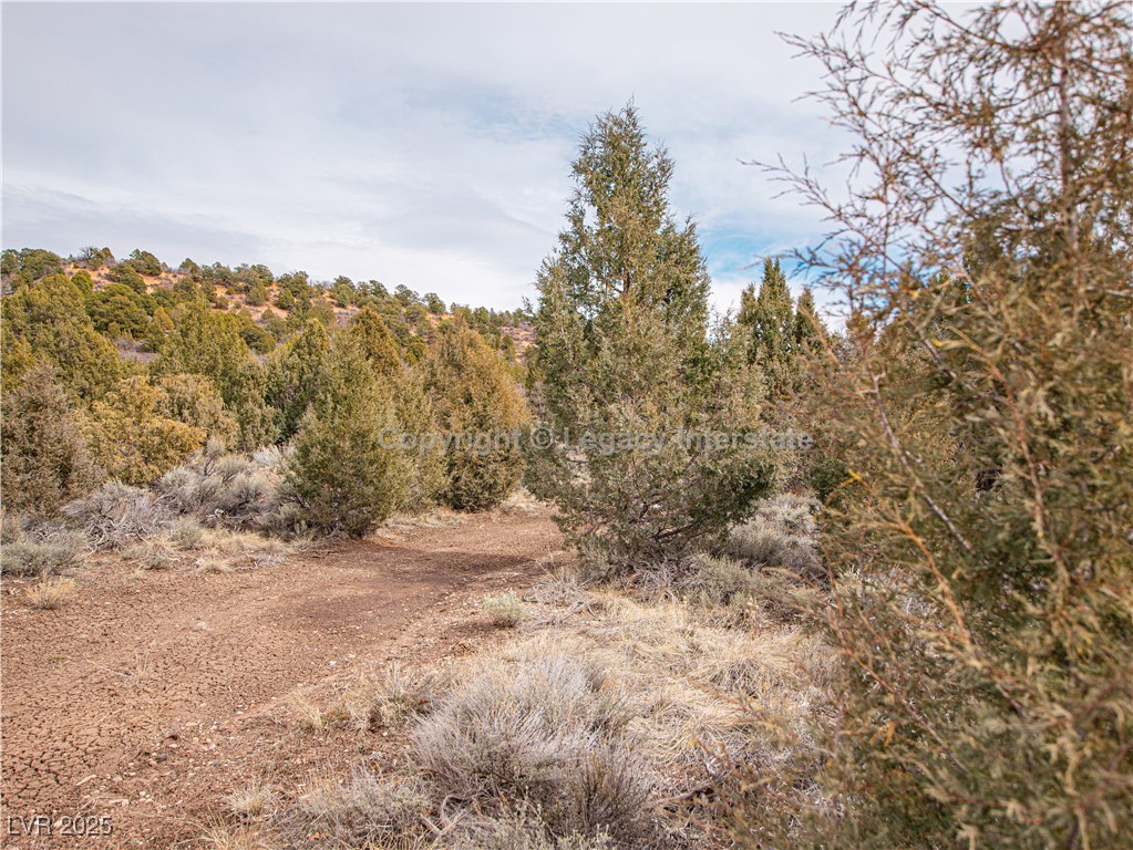 4300 N Moquie Court, Alton, Utah image 23