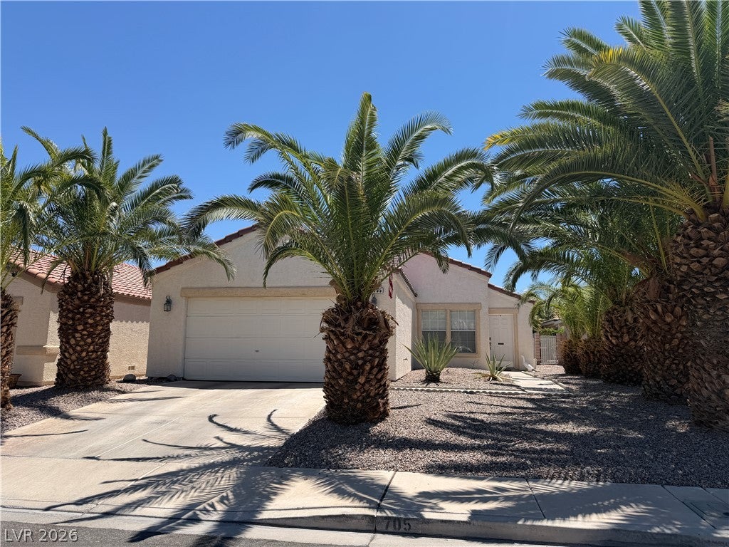 705 Salt Flats Circle