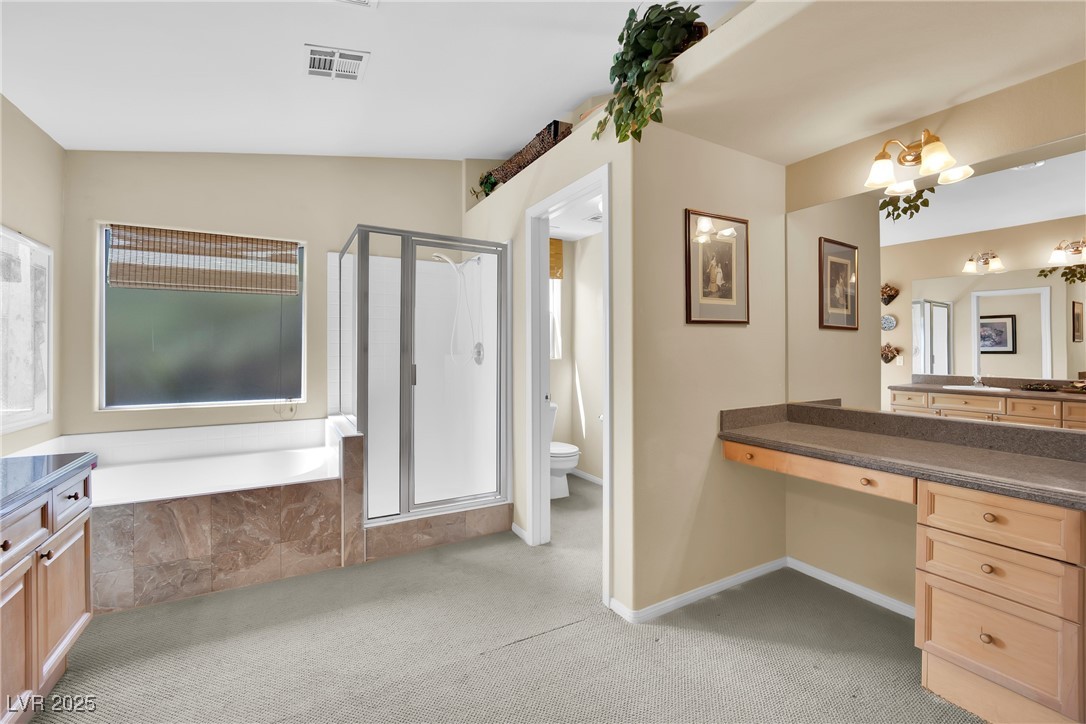 9261 Bearded Iris Avenue, Las Vegas, Nevada image 21